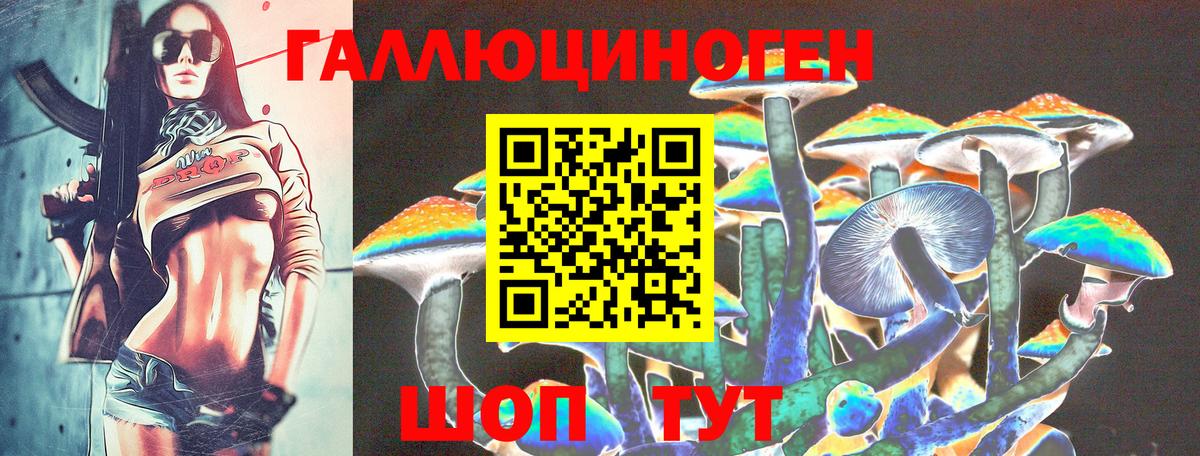 Псилоцибиновые грибы мицелий Нижний Новгород