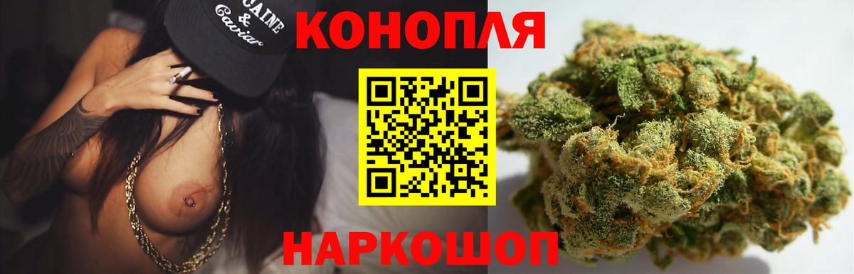 Бошки марихуана конопля Нижний Новгород
